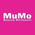 museummontanelli