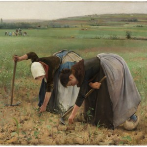 Women weeding the field_300.jpg