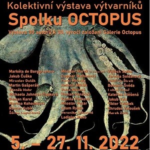 octopus-2022 3.jpg