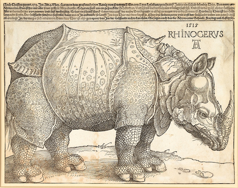 Albrecht Dürer, Nosorožec, dřevořez, 1515