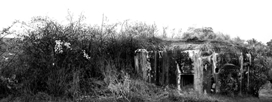 bunker uvodni