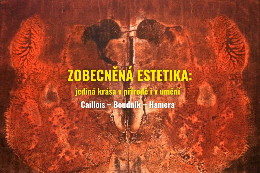 Zobecněná estetika: Caillois, Boudník, Hamera