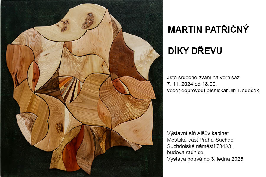 Martin Patřičný, Díky dřevu, Výstavní síň Alšův kabinet